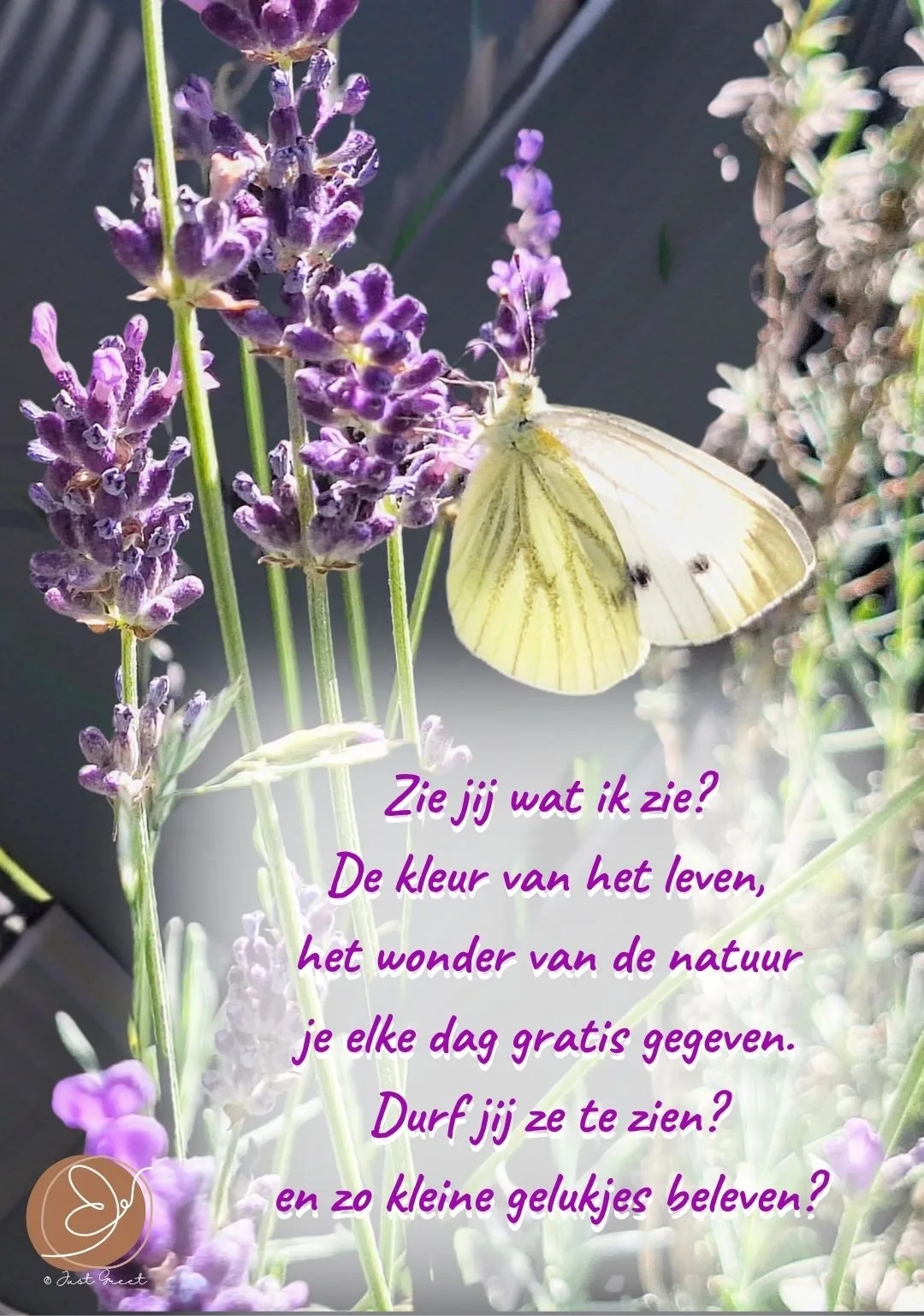 Samengesteld Pakket: Mini - Expo Kaartenpakket (1) (Expo Kleur in de Boomgaard) - Afbeelding 4
