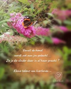 Rouw - Vanuit de hemel (foto)