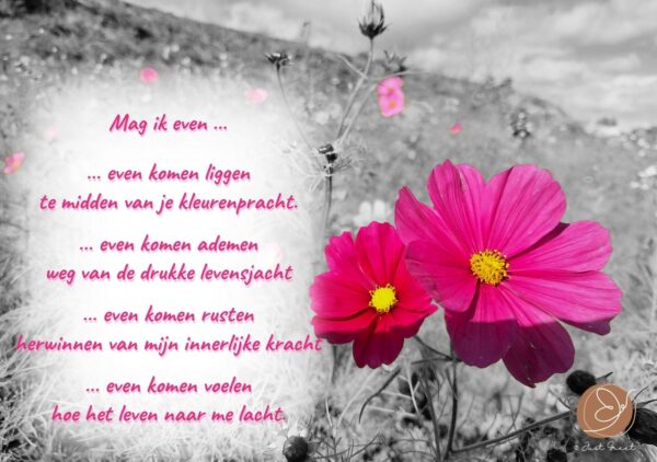 MW - Mag ik even... (foto)