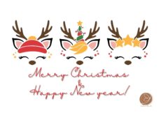 KN25 - Merry Christmas & Happy New Year